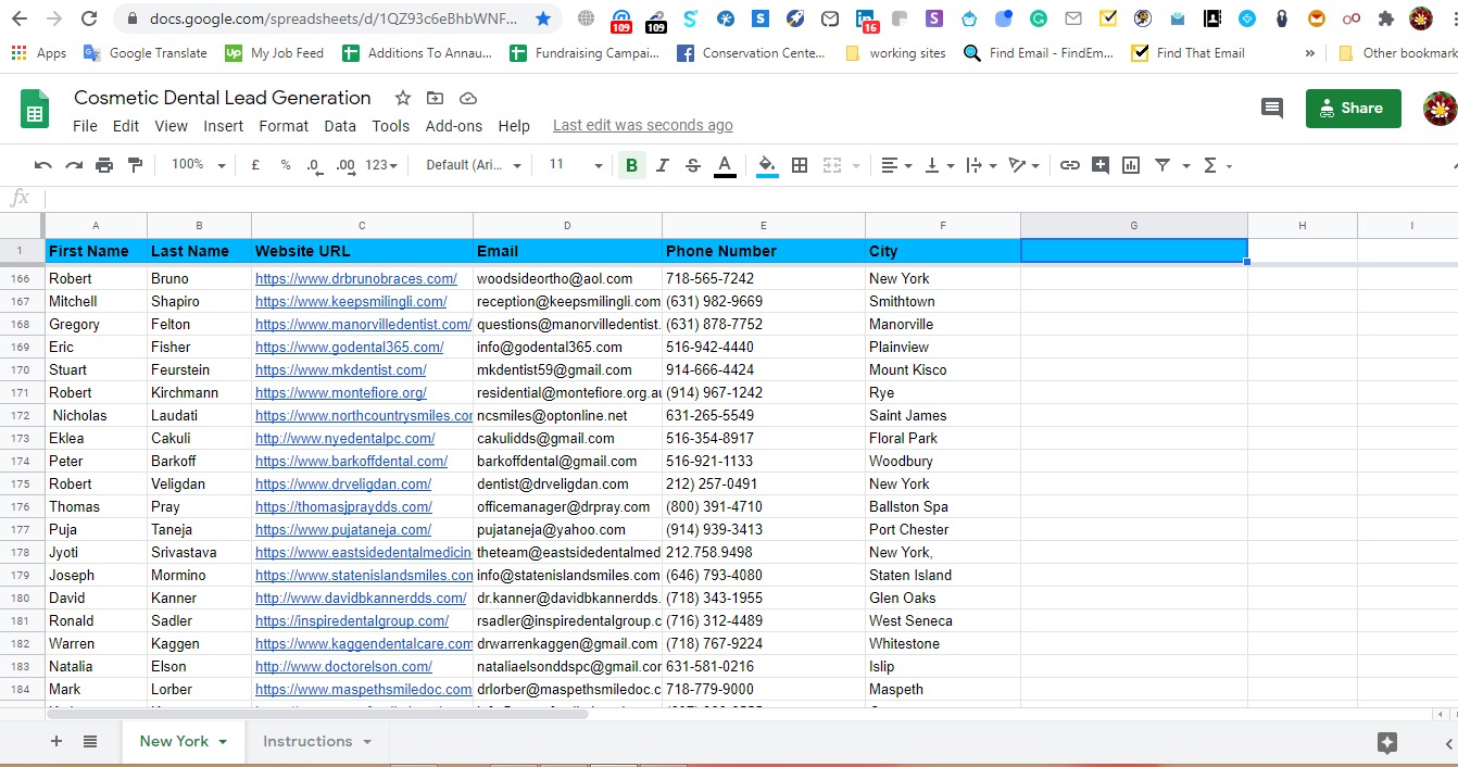 Spreadsheet excerpt from the Cosmetic Dental Lead Generation project, Healthcare & Dental industry